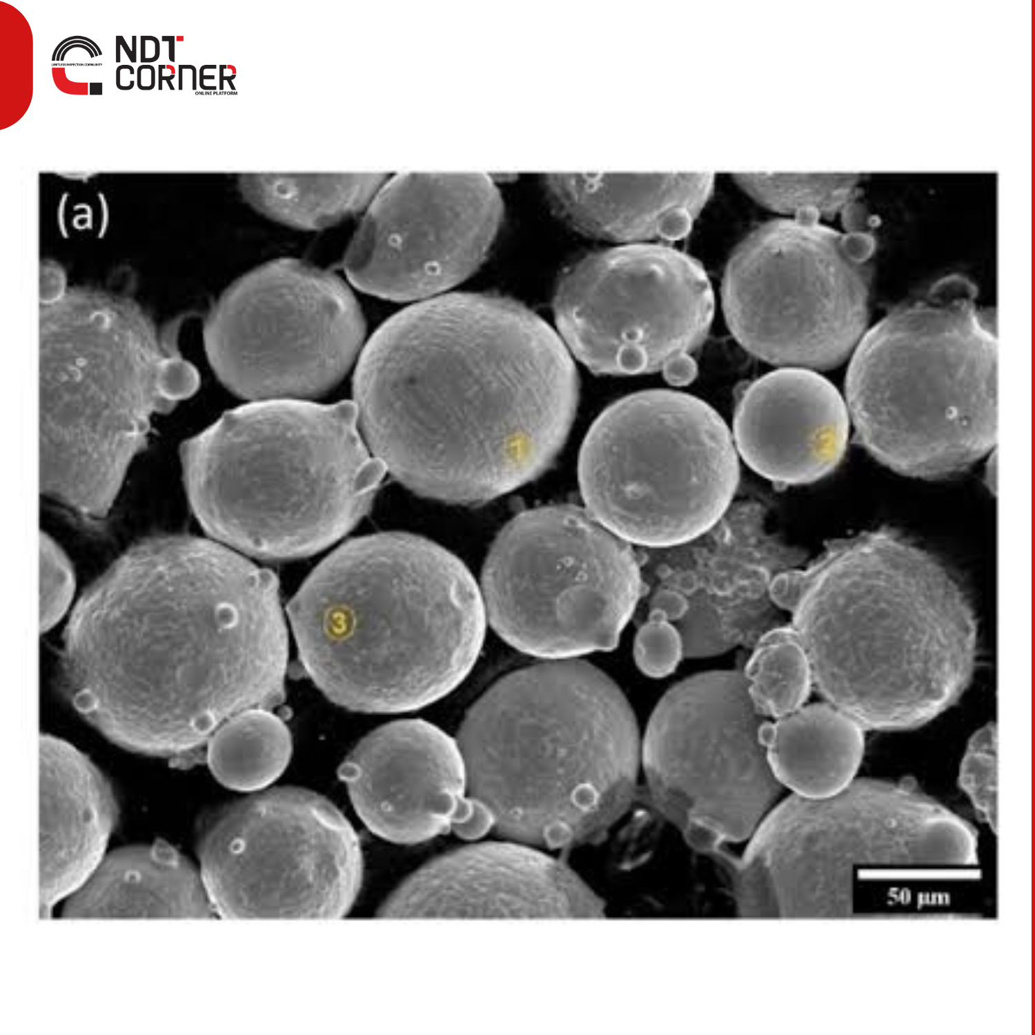 Validation of a Virtual Ray Tracing Instrument for Dimensional X-Ray CT Measurements